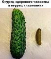 Нажмите на изображение для увеличения
Название: IMG_4726.JPG
Просмотров: 472
Размер:	95.9 Кб
ID:	1714827