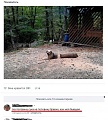 Нажмите на изображение для увеличения
Название: IMG_4748.JPG
Просмотров: 472
Размер:	135.1 Кб
ID:	1717913