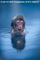 Нажмите на изображение для увеличения
Название: IMG_4770.JPG
Просмотров: 436
Размер:	32.5 Кб
ID:	1719451