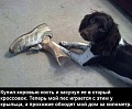 Нажмите на изображение для увеличения
Название: кость.jpg
Просмотров: 409
Размер:	66.5 Кб
ID:	1731850
