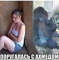 Нажмите на изображение для увеличения
Название: 9384301.jpg
Просмотров: 463
Размер:	62.2 Кб
ID:	1733554