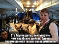 Нажмите на изображение для увеличения
Название: IMG_4908.JPG
Просмотров: 444
Размер:	128.4 Кб
ID:	1733718
