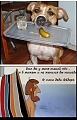 Нажмите на изображение для увеличения
Название: IMG_5031.jpg
Просмотров: 397
Размер:	241.5 Кб
ID:	1740321