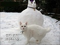 Нажмите на изображение для увеличения
Название: IMG_5044.JPG
Просмотров: 426
Размер:	63.0 Кб
ID:	1741531