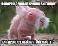 Нажмите на изображение для увеличения
Название: 9456256.jpg
Просмотров: 411
Размер:	59.6 Кб
ID:	1741805