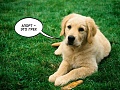 Нажмите на изображение для увеличения
Название: IMG_5054.JPG
Просмотров: 439
Размер:	92.6 Кб
ID:	1742841