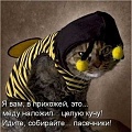 Нажмите на изображение для увеличения
Название: IMG_5061.JPG
Просмотров: 413
Размер:	123.4 Кб
ID:	1744023