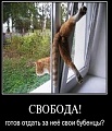 Нажмите на изображение для увеличения
Название: post-299-1309893356.jpg
Просмотров: 448
Размер:	53.7 Кб
ID:	1749936