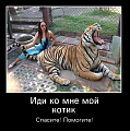 Нажмите на изображение для увеличения
Название: original.png
Просмотров: 423
Размер:	371.4 Кб
ID:	1750413