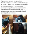 Нажмите на изображение для увеличения
Название: 9494654.jpg
Просмотров: 439
Размер:	67.6 Кб
ID:	1750419