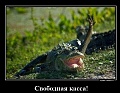 Нажмите на изображение для увеличения
Название: 1364925879_Svobodnaya-kassa_vsyako-razno.ru_.jpg
Просмотров: 436
Размер:	82.7 Кб
ID:	1752252
