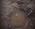 Нажмите на изображение для увеличения
Название: IMG_5152.JPG
Просмотров: 403
Размер:	94.2 Кб
ID:	1755221