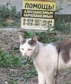 Нажмите на изображение для увеличения
Название: IMG_5139.JPG
Просмотров: 383
Размер:	64.7 Кб
ID:	1755234