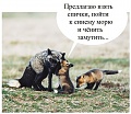 Нажмите на изображение для увеличения
Название: IMG_5141.JPG
Просмотров: 403
Размер:	82.7 Кб
ID:	1755236