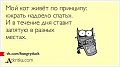 Нажмите на изображение для увеличения
Название: 805c976ca5.jpg
Просмотров: 402
Размер:	19.6 Кб
ID:	1757446