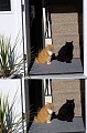 Нажмите на изображение для увеличения
Название: IMG_5247.JPG
Просмотров: 387
Размер:	97.4 Кб
ID:	1765407