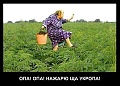 Нажмите на изображение для увеличения
Название: опаопа.jpeg
Просмотров: 382
Размер:	88.7 Кб
ID:	1767728