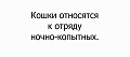 Нажмите на изображение для увеличения
Название: IMG_5276.JPG
Просмотров: 329
Размер:	16.5 Кб
ID:	1771706