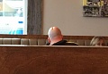 Нажмите на изображение для увеличения
Название: IMG_5300.JPG
Просмотров: 418
Размер:	84.4 Кб
ID:	1774829