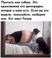 Нажмите на изображение для увеличения
Название: 8672219.jpg
Просмотров: 506
Размер:	46.7 Кб
ID:	1775330