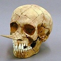 Нажмите на изображение для увеличения
Название: IMG_5315.JPG
Просмотров: 441
Размер:	54.3 Кб
ID:	1776433
