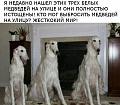 Нажмите на изображение для увеличения
Название: IMG_5304.JPG
Просмотров: 442
Размер:	56.6 Кб
ID:	1776445