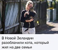 Нажмите на изображение для увеличения
Название: кот.jpg
Просмотров: 414
Размер:	51.6 Кб
ID:	1781562