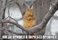Нажмите на изображение для увеличения
Название: парк.jpg
Просмотров: 391
Размер:	44.8 Кб
ID:	1781563