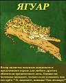 Нажмите на изображение для увеличения
Название: IMG_5349.JPG
Просмотров: 511
Размер:	103.0 Кб
ID:	1787946