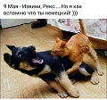 Нажмите на изображение для увеличения
Название: original.jpeg
Просмотров: 448
Размер:	40.6 Кб
ID:	1793189