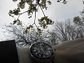 Нажмите на изображение для увеличения
Название: DSCN5937 (1)0004.JPG
Просмотров: 42
Размер:	1.27 Мб
ID:	1795380