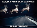 Нажмите на изображение для увеличения
Название: IMG_5418.JPG
Просмотров: 480
Размер:	62.9 Кб
ID:	1796974