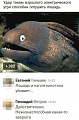 Нажмите на изображение для увеличения
Название: IMG_5423.JPG
Просмотров: 533
Размер:	54.8 Кб
ID:	1798106