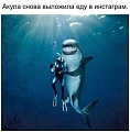 Нажмите на изображение для увеличения
Название: инста.jpg
Просмотров: 444
Размер:	33.8 Кб
ID:	1805614