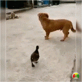 Нажмите на изображение для увеличения
Название: image-_5_.gif
Просмотров: 398
Размер:	3.03 Мб
ID:	1807565