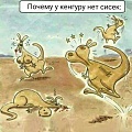 Нажмите на изображение для увеличения
Название: IMG_5462.JPG
Просмотров: 425
Размер:	149.7 Кб
ID:	1808704