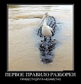 Нажмите на изображение для увеличения
Название: image (4).jpg
Просмотров: 446
Размер:	54.0 Кб
ID:	1815004