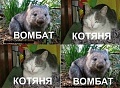 Нажмите на изображение для увеличения
Название: 9.jpg
Просмотров: 428
Размер:	73.9 Кб
ID:	1815677