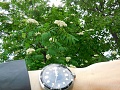 Нажмите на изображение для увеличения
Название: DSCN6021 (1)0004.JPG
Просмотров: 909
Размер:	1.51 Мб
ID:	1817367