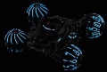 Нажмите на изображение для увеличения
Название: 3-HM6_Alien-Nation_Engine-Night_01 (1).jpg
Просмотров: 502
Размер:	110.5 Кб
ID:	1820136