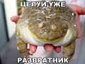 Нажмите на изображение для увеличения
Название: IMG_5544.JPG
Просмотров: 600
Размер:	67.4 Кб
ID:	1820403