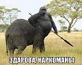 Нажмите на изображение для увеличения
Название: IMG_5556.JPG
Просмотров: 620
Размер:	80.0 Кб
ID:	1820421