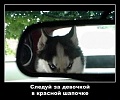 Нажмите на изображение для увеличения
Название: image (6).jpg
Просмотров: 471
Размер:	28.9 Кб
ID:	1821513