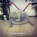 Нажмите на изображение для увеличения
Название: IMG_5573.JPG
Просмотров: 706
Размер:	132.9 Кб
ID:	1824342