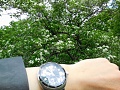 Нажмите на изображение для увеличения
Название: DSCN6047 (1)0005.JPG
Просмотров: 37
Размер:	1.67 Мб
ID:	1825109