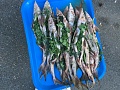 Нажмите на изображение для увеличения
Название: IMG_1081.jpg
Просмотров: 53
Размер:	566.5 Кб
ID:	1827614