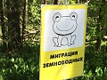 Нажмите на изображение для увеличения
Название: IMG_0395.jpg
Просмотров: 71
Размер:	442.2 Кб
ID:	1832664