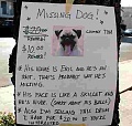 Нажмите на изображение для увеличения
Название: 03-lost-pet.jpg
Просмотров: 378
Размер:	11.2 Кб
ID:	1833301