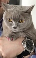 Нажмите на изображение для увеличения
Название: IMG_5166.JPG
Просмотров: 374
Размер:	94.3 Кб
ID:	1849973