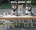 Нажмите на изображение для увеличения
Название: 5.jpg
Просмотров: 439
Размер:	109.6 Кб
ID:	1852684